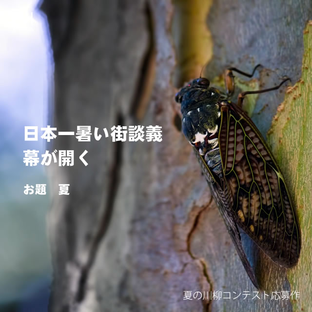 2017年6月16日の一句