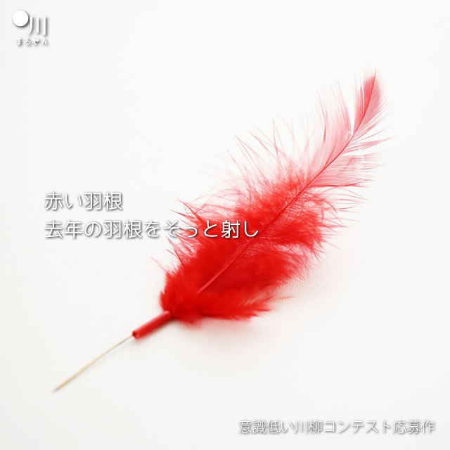 2017年7月25日の今日の一句