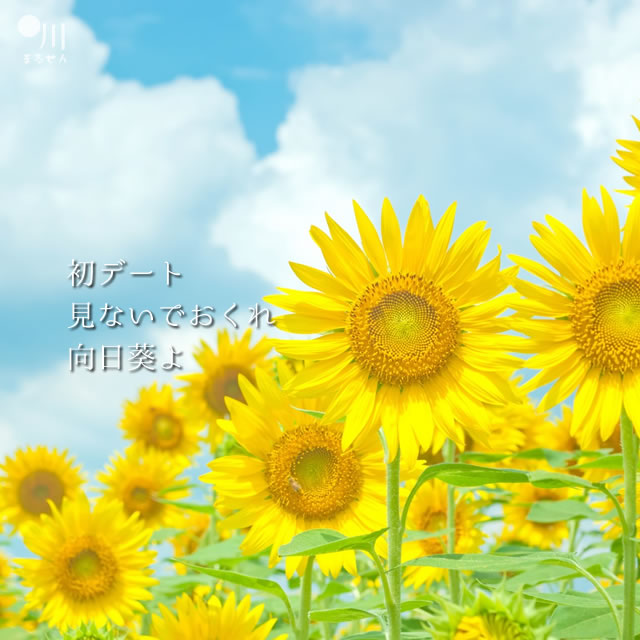 2017年8月5日の一句
