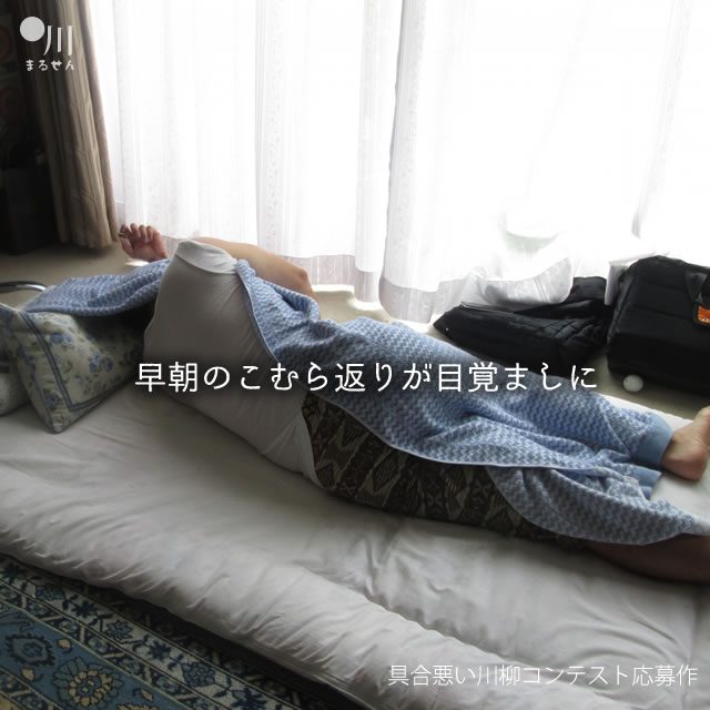 2017年8月12日の一句