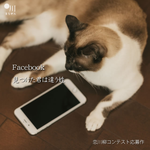 2017年8月14日の一句