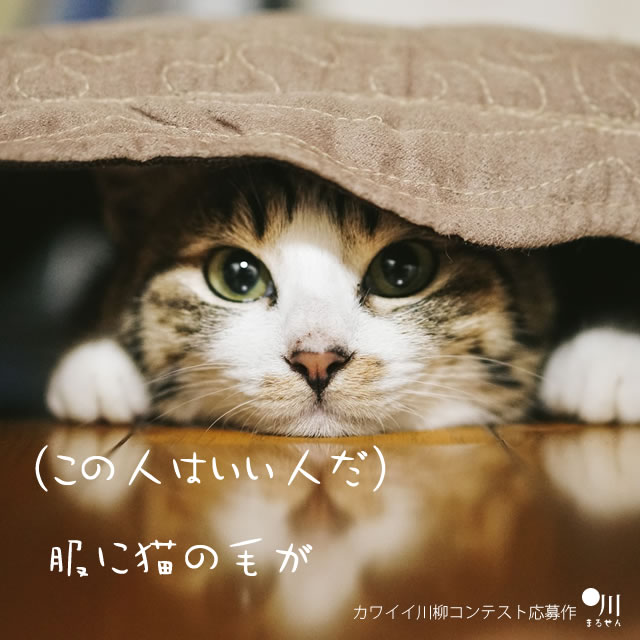 2018年5月5日の一句