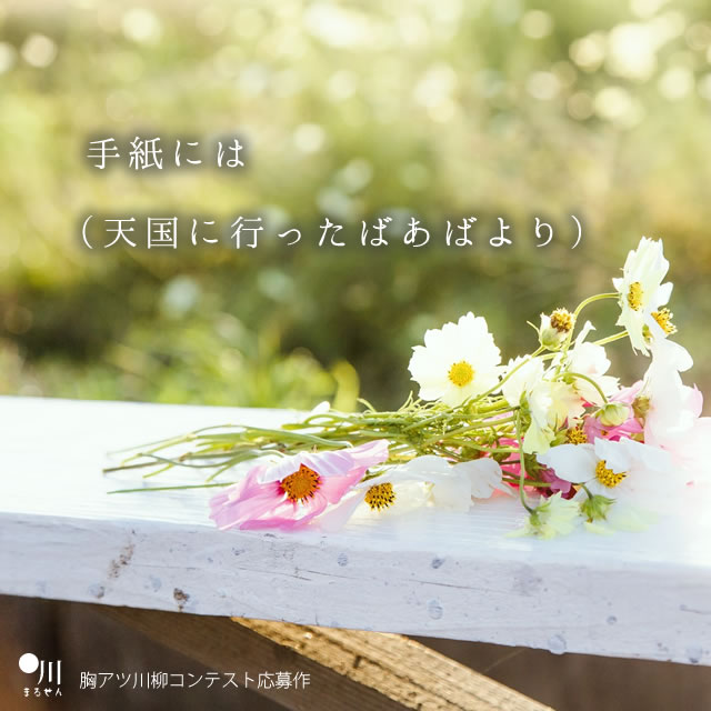 2018年6月27日の一句