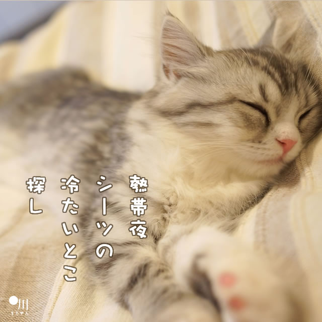 2018年7月2日の一句