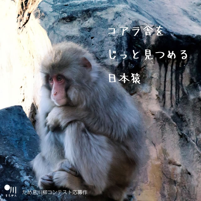 2018年8月14日の今日の一句
