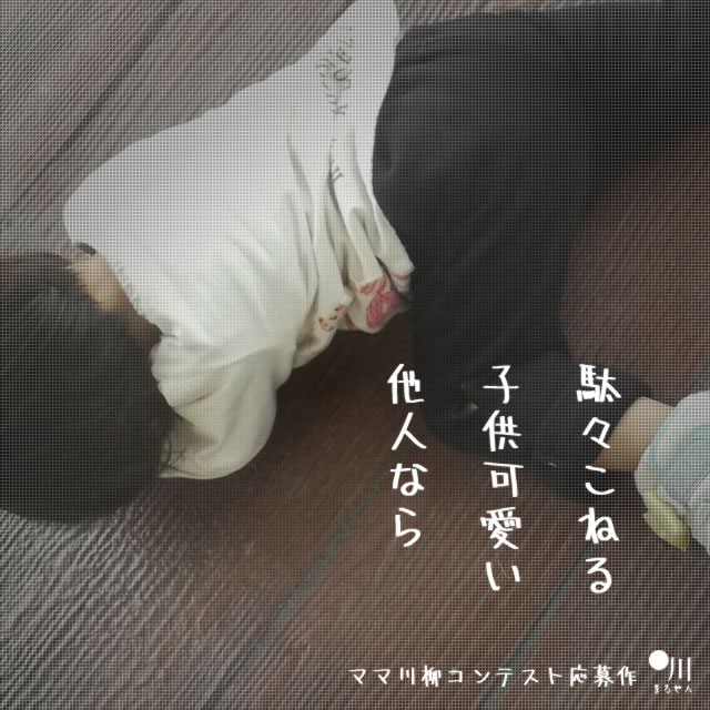 2018年11月6日の一句