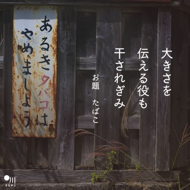 2018年11月17日の一句