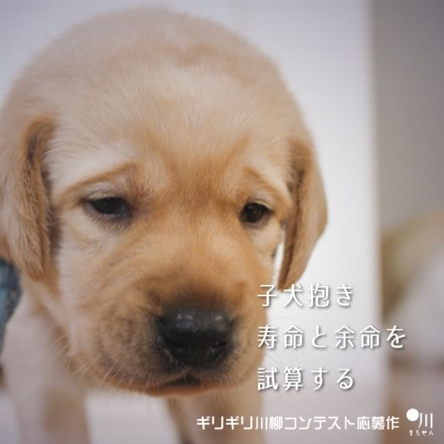 2019年3月2日の一句