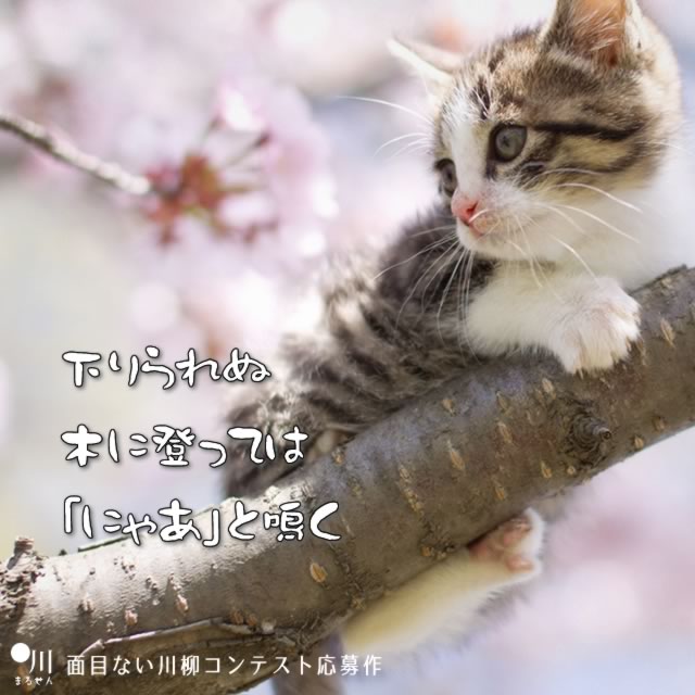 2019年3月10日の一句
