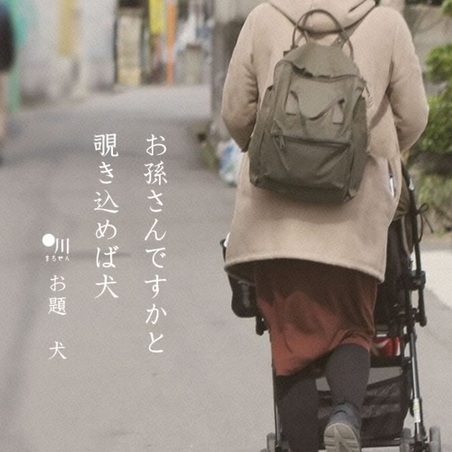 2019年5月13日の一句