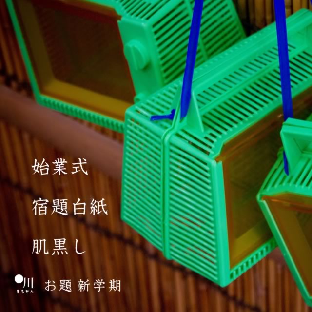 2019年9月3日の一句