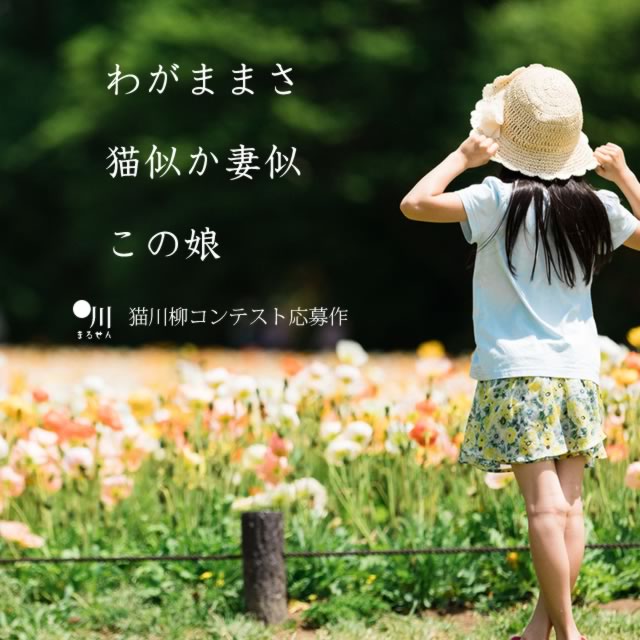 2019年9月8日の一句