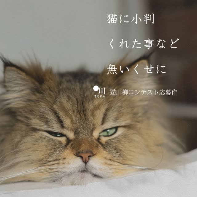 2019年9月13日の一句