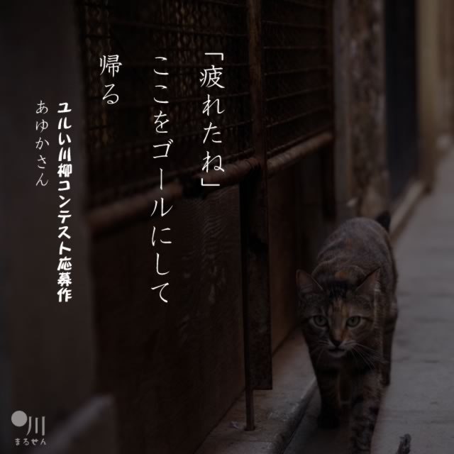 2020年6月16日の一句