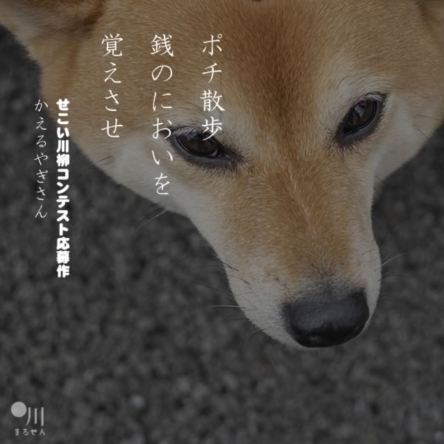 2020年6月28日の一句
