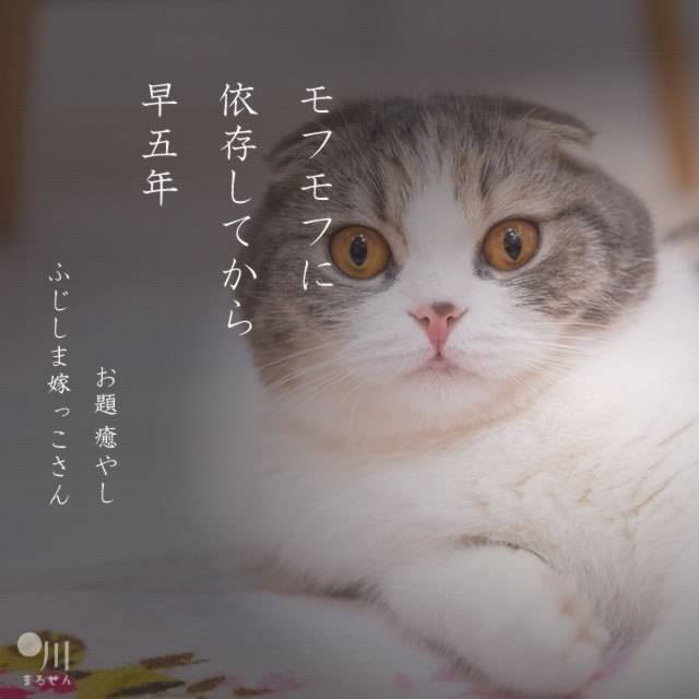 2020年12月28日の一句
