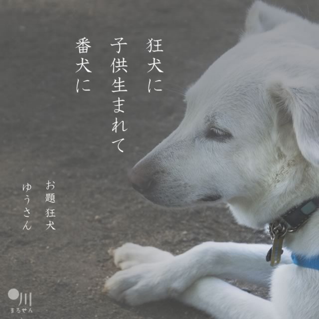 2021年9月28日の一句