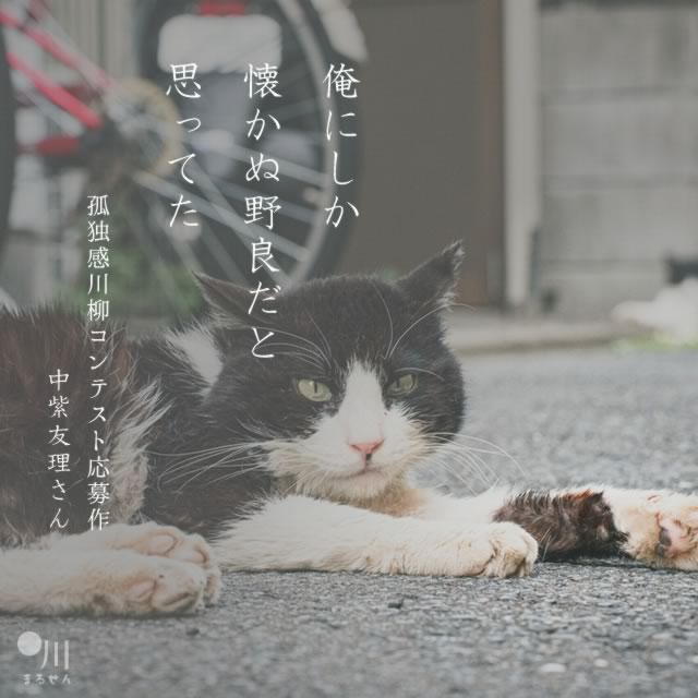 2022年6月10日の一句