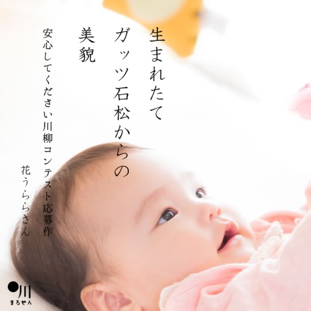 2023年11月29日の一句