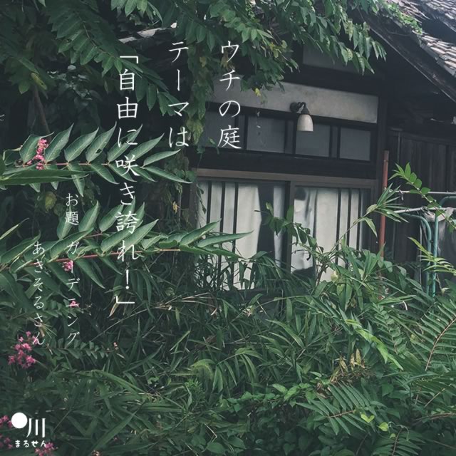 2023年12月27日の一句