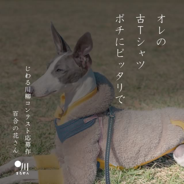 2024年4月8日の一句