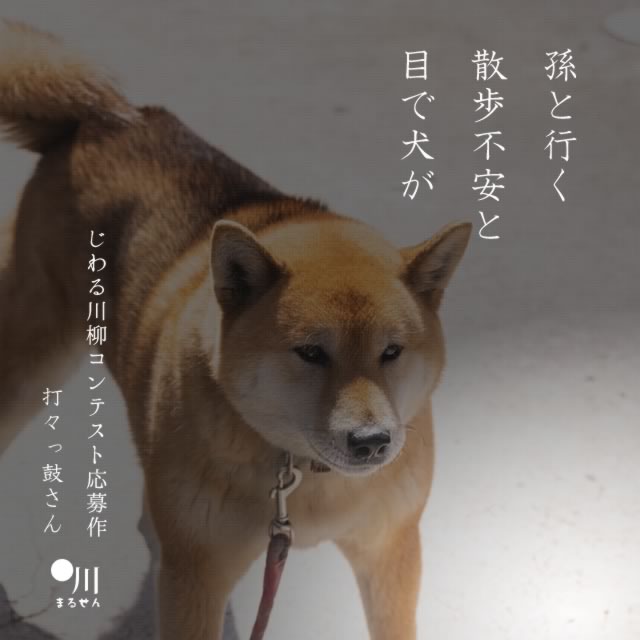 2024年4月10日の一句