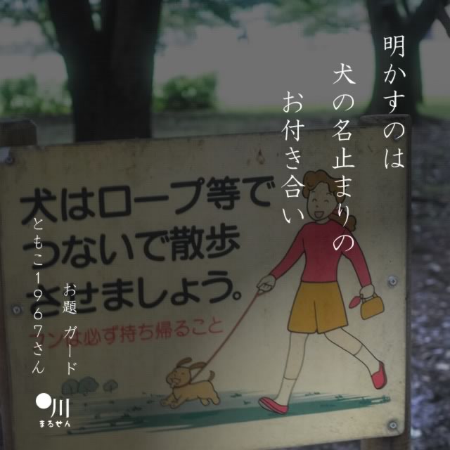 2024年5月12日の一句