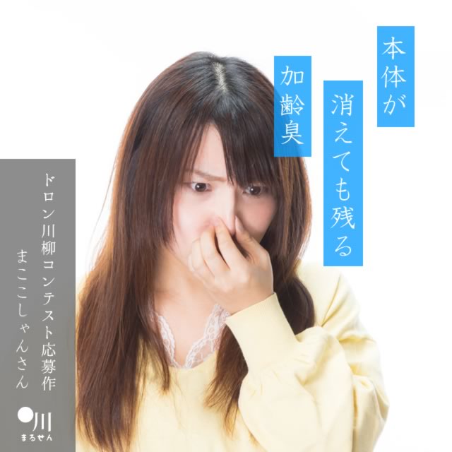 2024年5月24日の一句