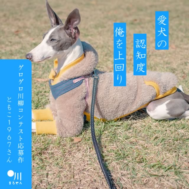 2024年5月30日の一句