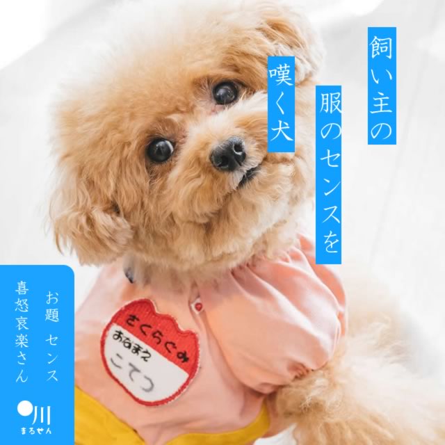 2024年6月15日の一句