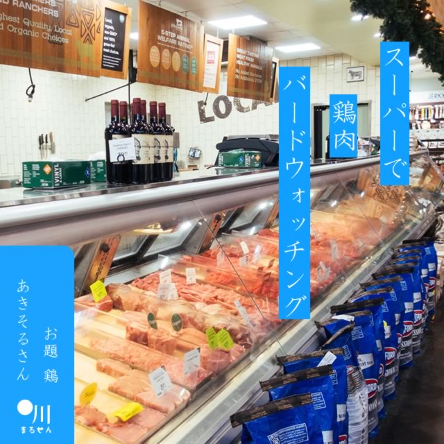 2024年6月28日の一句