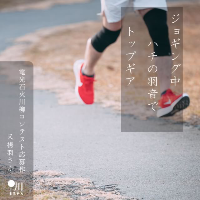 2024年7月19日の一句