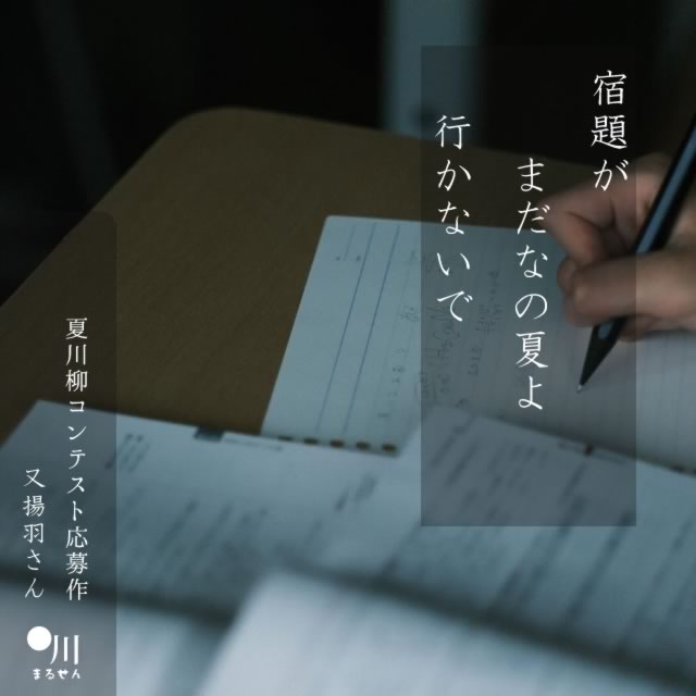 2024年8月5日の一句