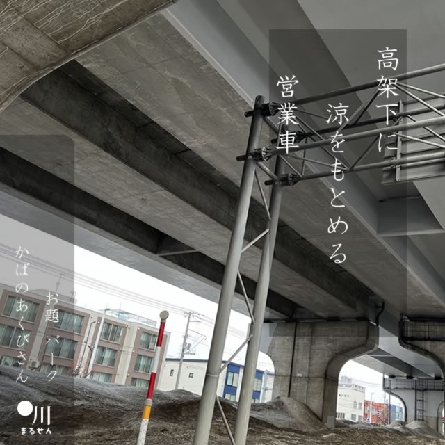 2024年8月9日の一句