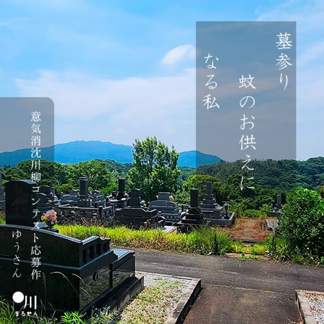 2024年8月11日の一句