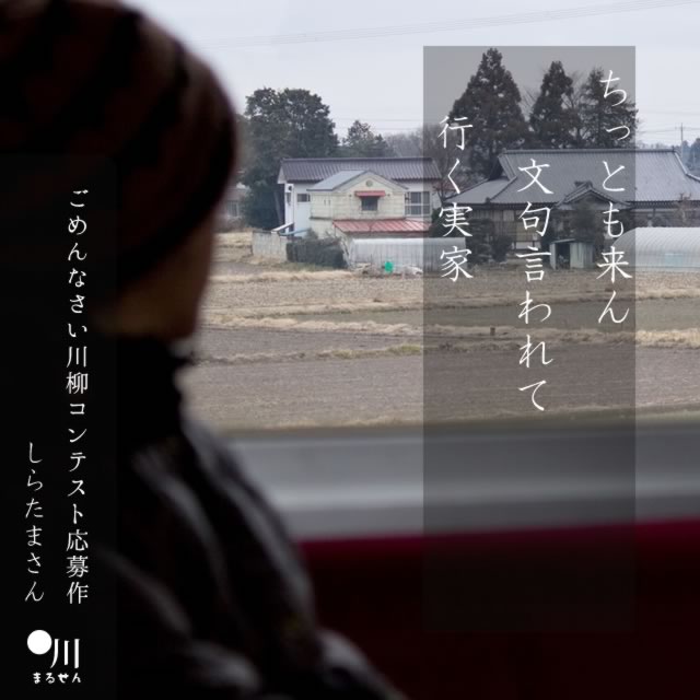 2024年8月20日の一句
