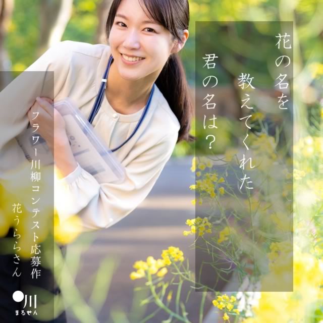 2024年8月27日の一句