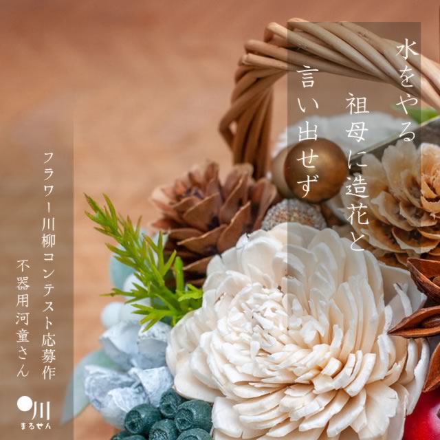 2024年9月11日の一句