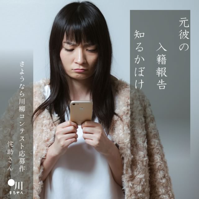 2024年10月8日の一句