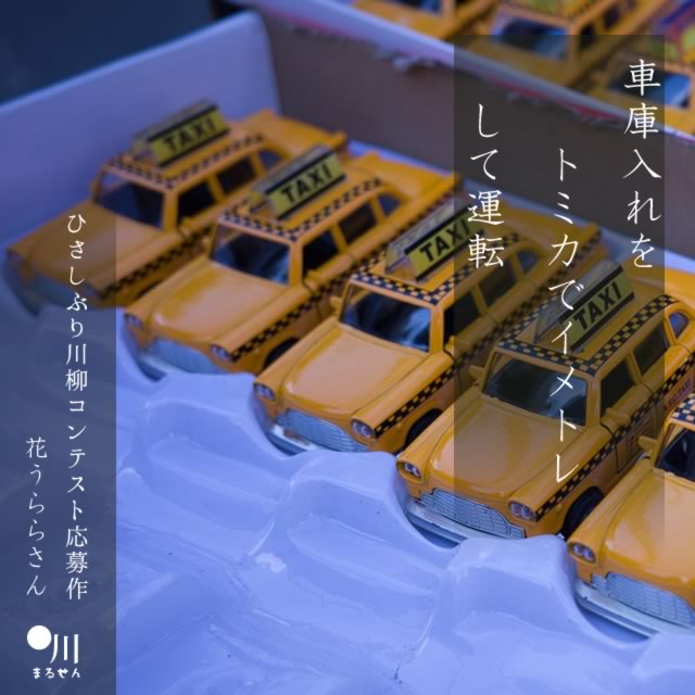 2024年10月13日の一句