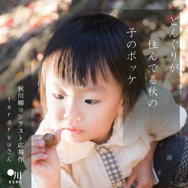2024年10月15日の一句