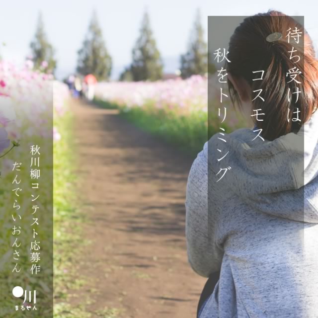 2024年10月23日の一句