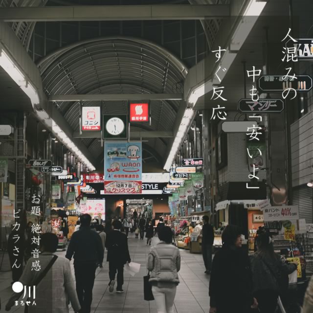 2024年10月26日の一句