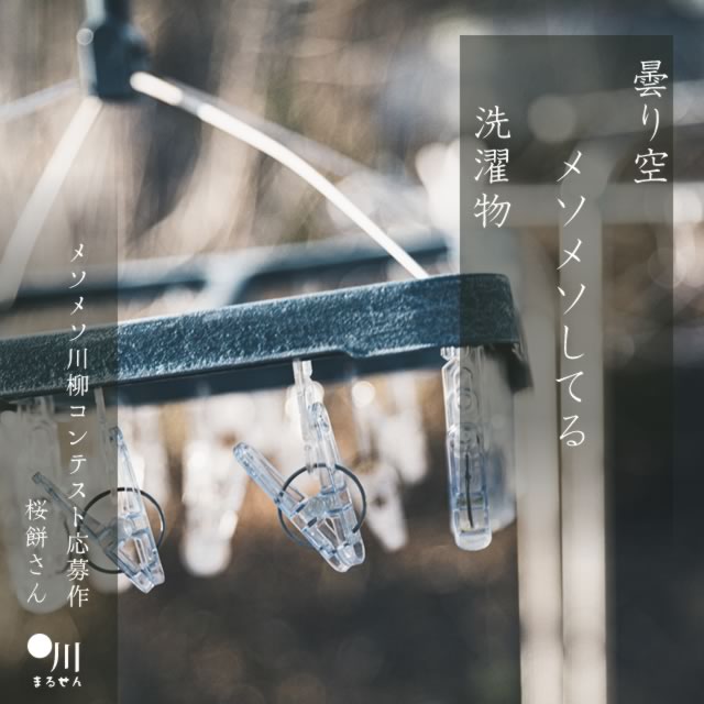 2024年10月30日の一句