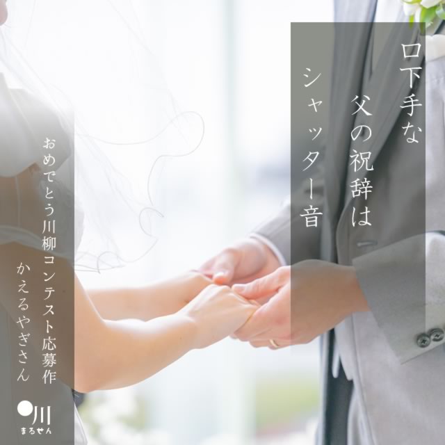 2024年11月5日の一句