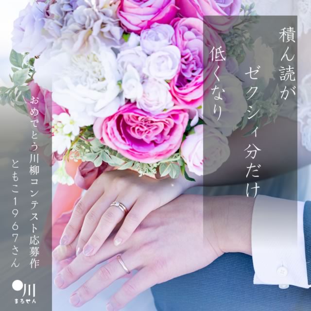 2024年11月11日の一句
