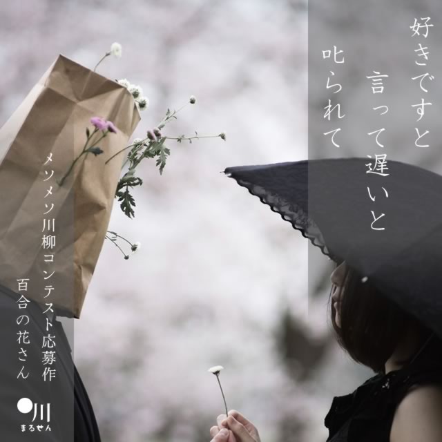 2024年11月19日の一句