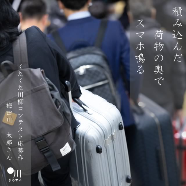 2024年11月28日の一句