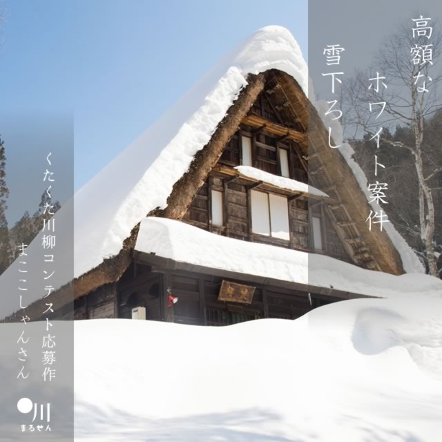 2024年12月19日の一句