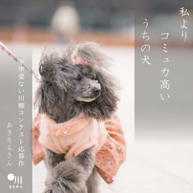 2025年1月12日の一句
